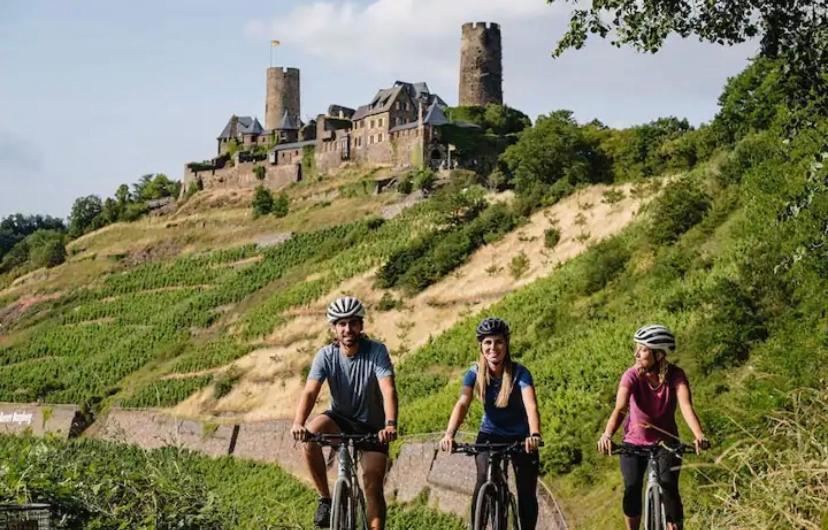 Rheinmosel Glueck 3 * Koblenz (Rhineland-Palatinate)